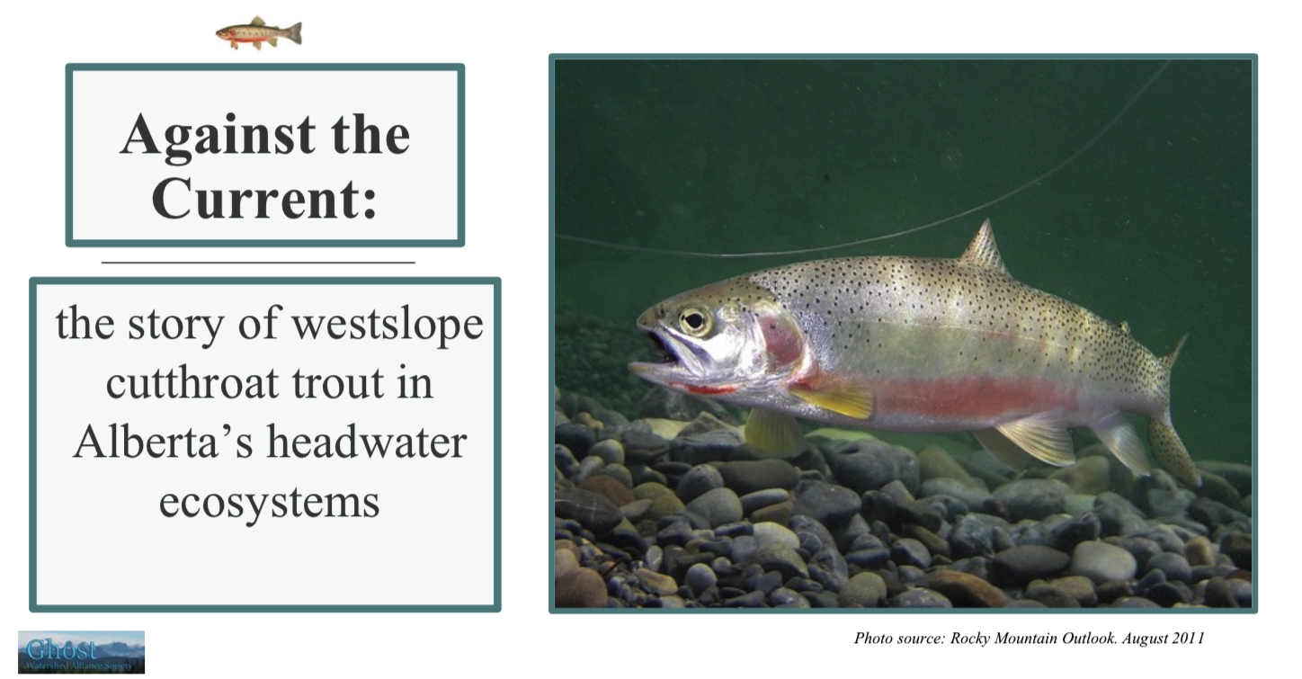 Calgary Mayor's Expo