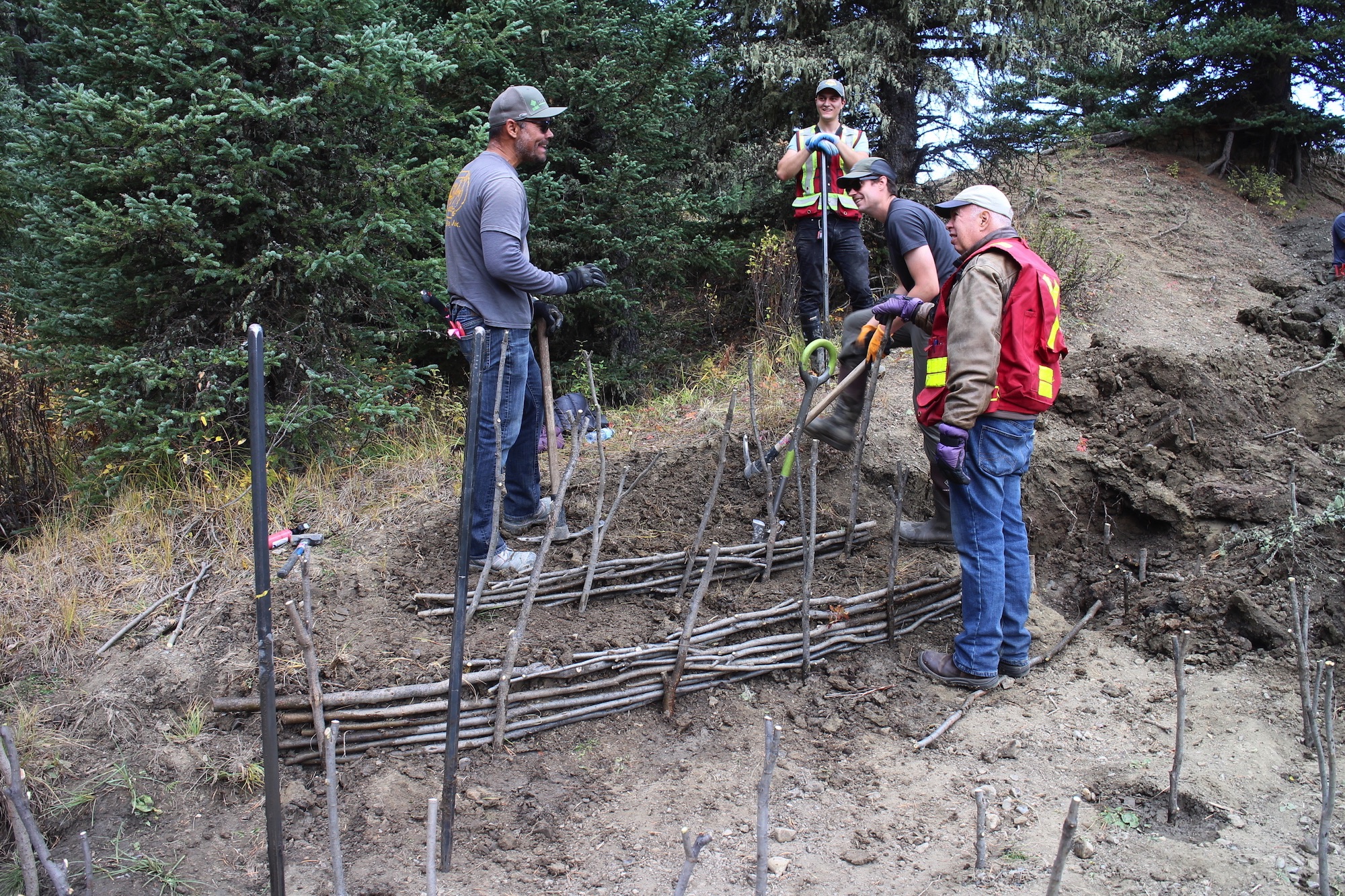 collaborating on a bioengineering site