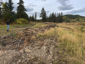 Site before planting day