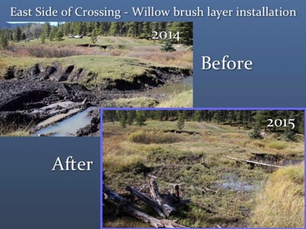 Before & After at Silvester Creek site