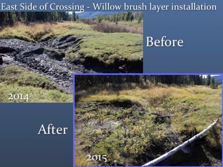 Before & After at Silvester Creek site