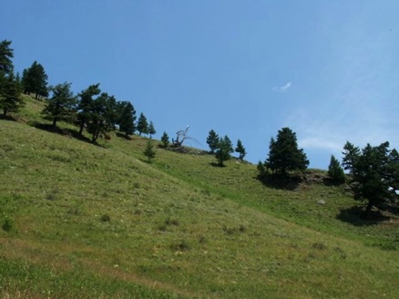 Lesueur Creek ridge